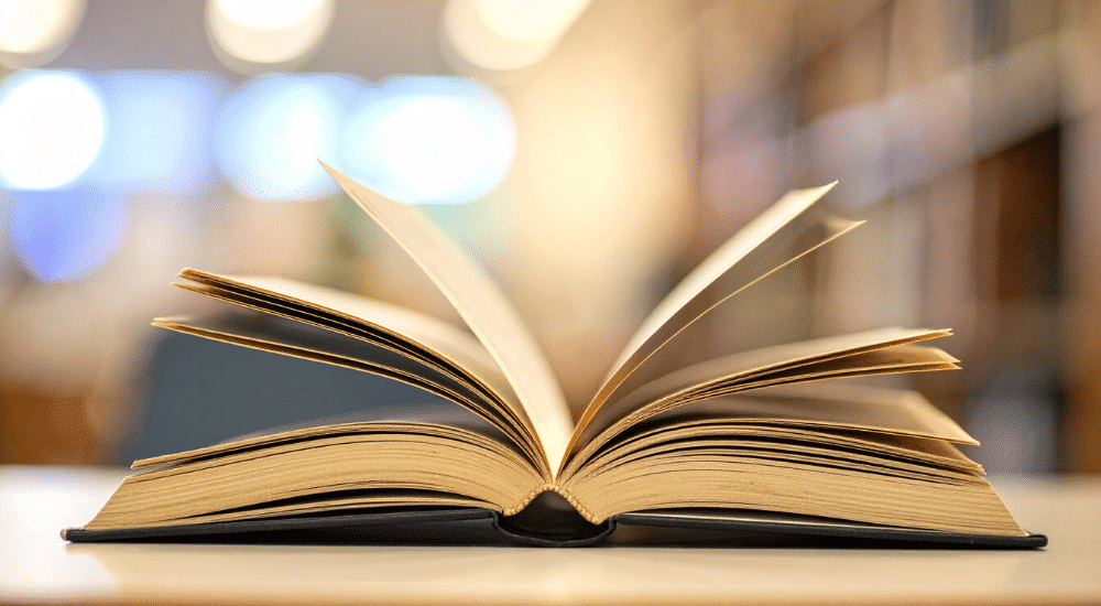 image page daccueil lille 7